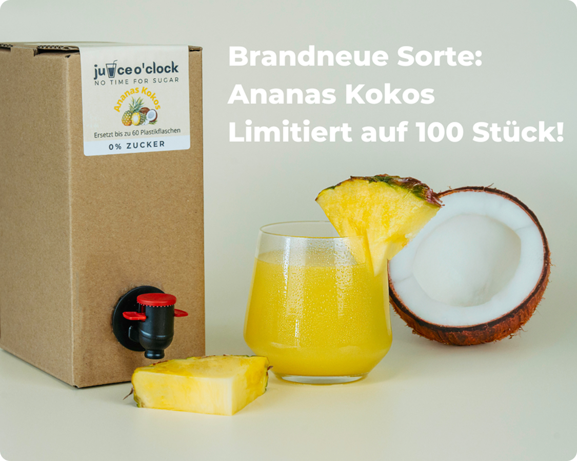 Umweltfreundliche Sirupbox Zuckerfrei (1,5L)
