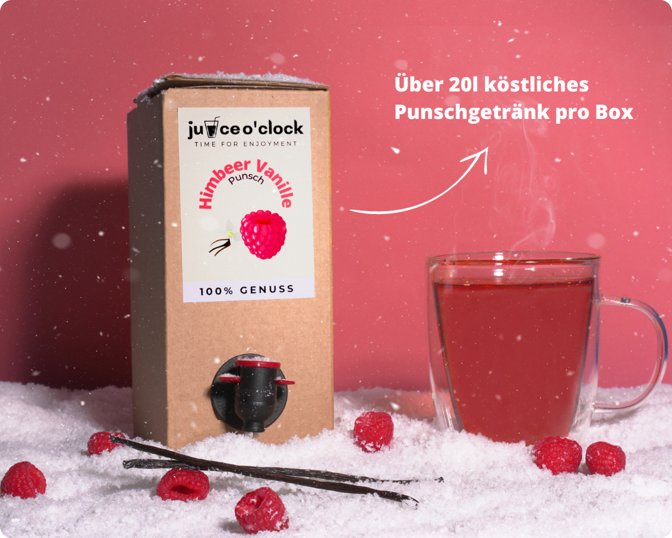 Umweltfreundliche Juice Sirupbox Klassik (1,5L)