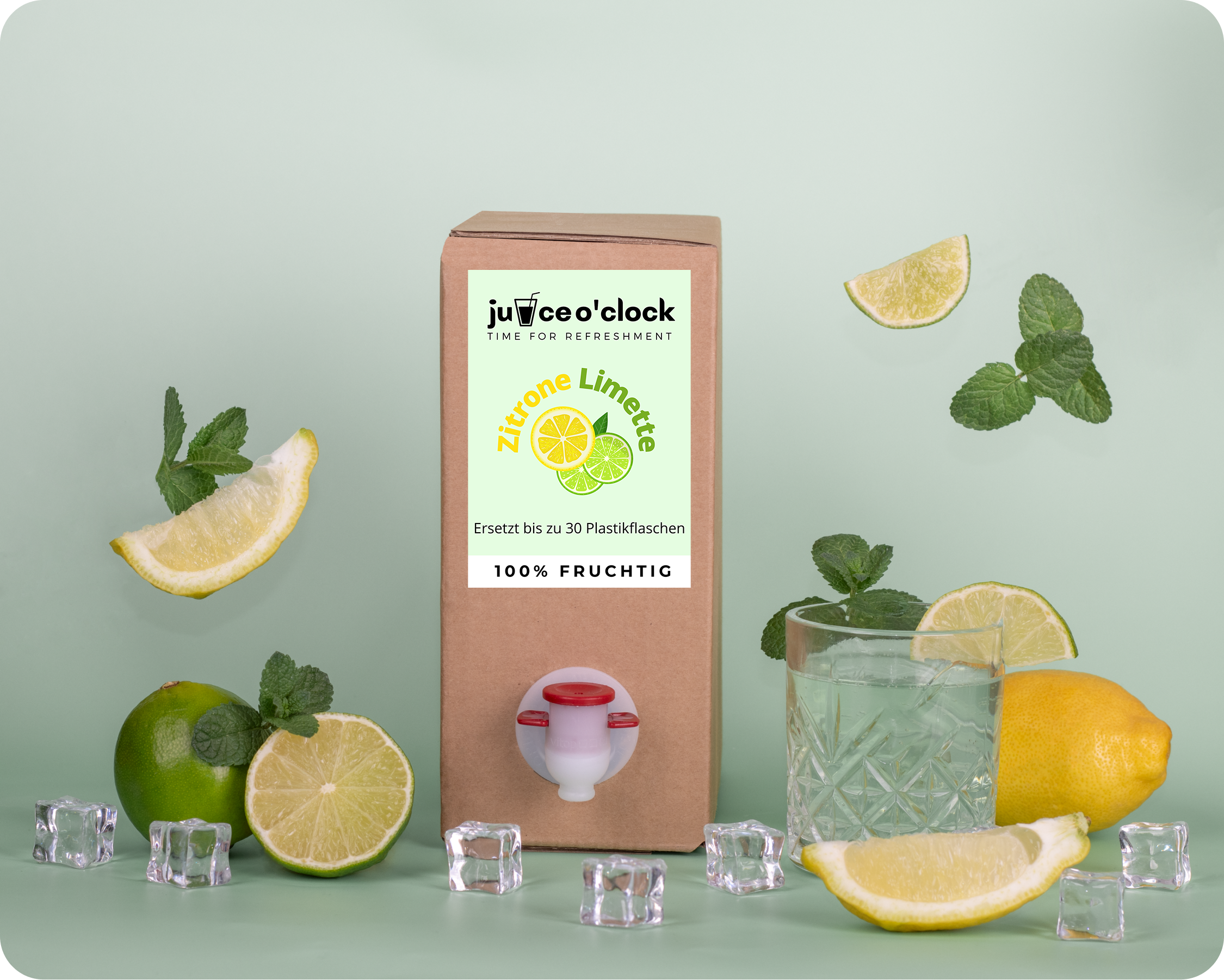 Umweltfreundliche Juice Sirupbox Klassik (1,5L)