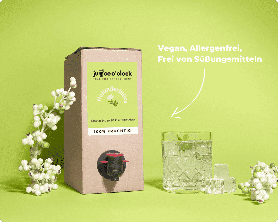 Umweltfreundliche Juice Sirupbox Klassik (1,5L)