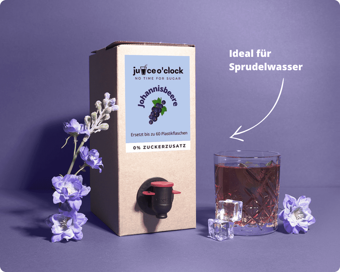 Umweltfreundliche Sirupbox Zuckerfrei (1,5L)