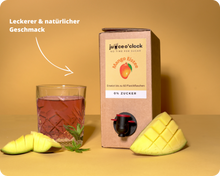 Lade das Bild in den Galerie-Viewer, Eistee Zuckerfrei Probierbundle
